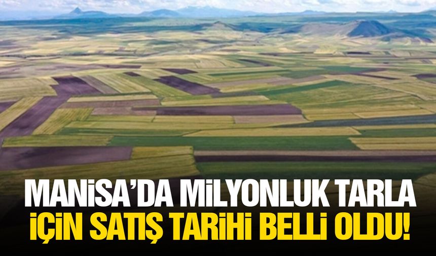 Manisa’da milyonluk tarla için satış tarihi belli oldu!