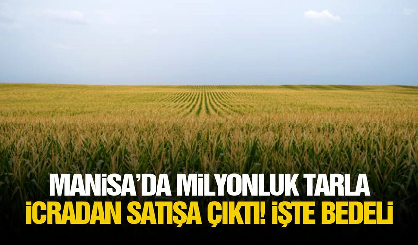 Manisa’da milyonluk tarla icradan satışa çıktı! İşte bedeli