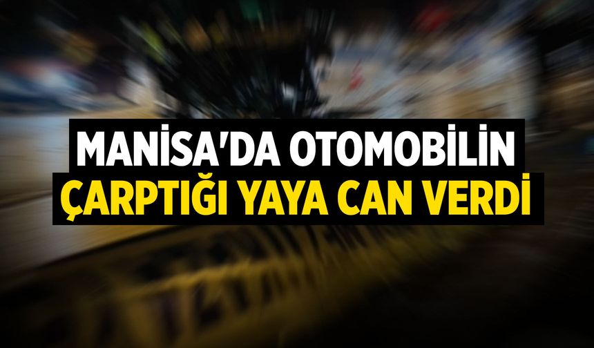 Manisa'da otomobilin çarptığı yaya can verdi
