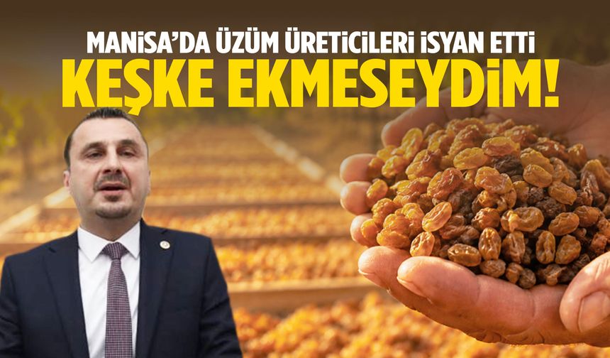 Manisa’da üzüm üreticileri isyan etti: “Keşke ekmeseydim…”