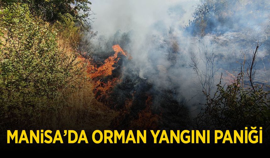 Manisa'da orman yangını paniği