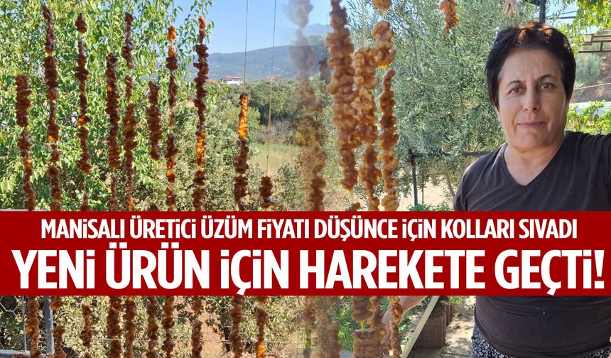 Manisalı üretici üzüm fiyatı düşünce kolları sıvadı… Yeni ürün için harekete geçti!