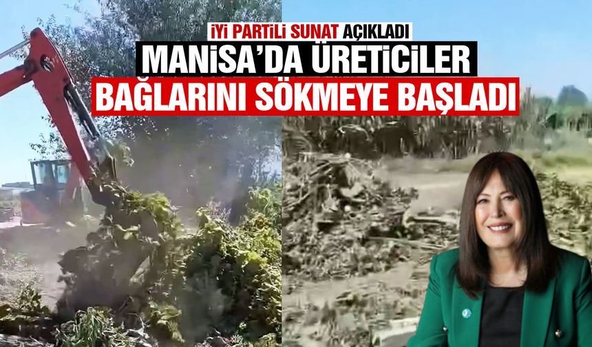 Manisalı üreticiler bağlarını söküyor!