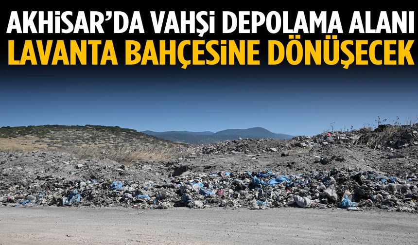 Akhisar’da vahşi depolama alanı lavanta bahçesine dönüşecek