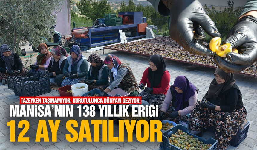 Tazeyken taşınamıyor, kurutulunca dünyayı geziyor! Manisa’nın 138 yıllık eriği 12 ay satılıyor