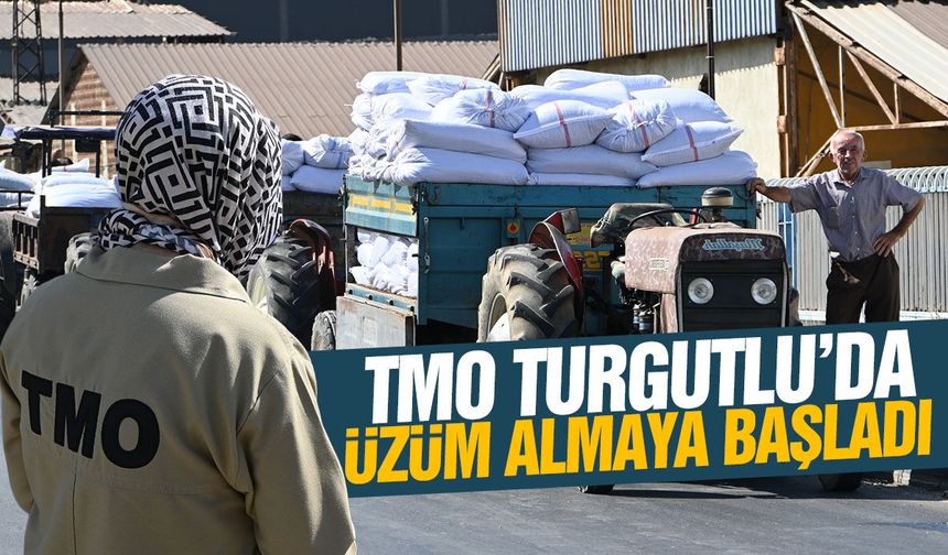 TMO Turgutlu'da kuru üzüm alımına başladı