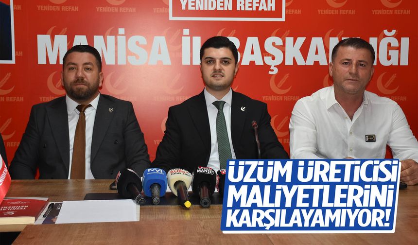 Üzüm üreticisi maliyetlerini karşılayamıyor!