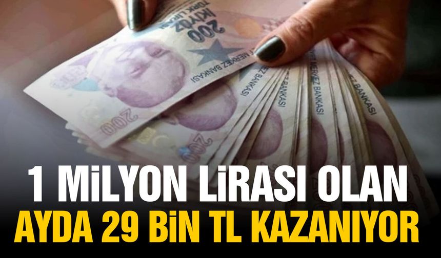 1 milyon lirası olan ayda 29 bin TL kazanıyor