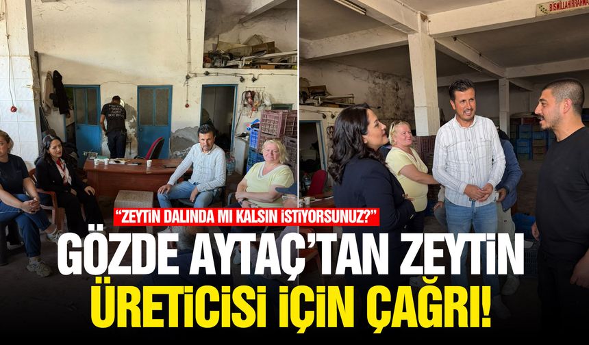 Gözde Aytaç’tan zeytin üreticisi için çağrı!