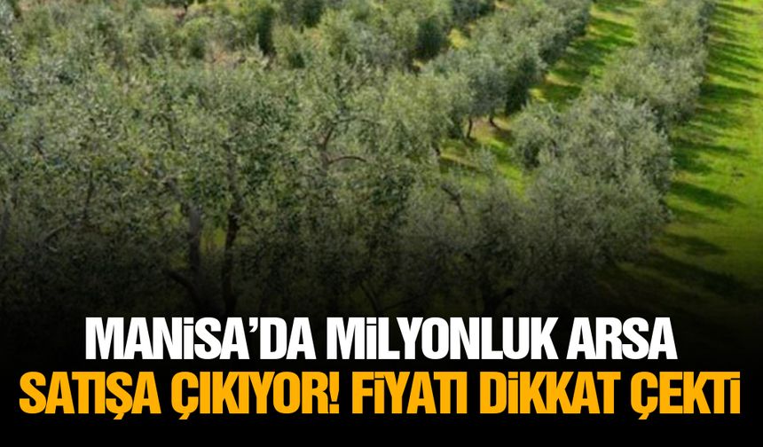 Manisa’da milyonluk arsa satışa çıkıyor! Fiyatı dikkat çekti