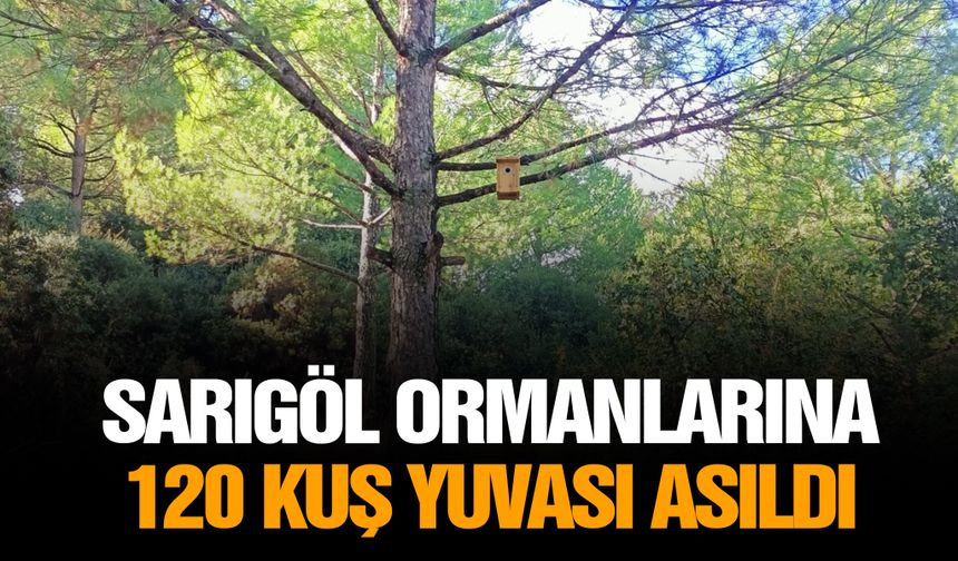 Sarıgöl ormanlarına 120 kuş yuvası asıldı