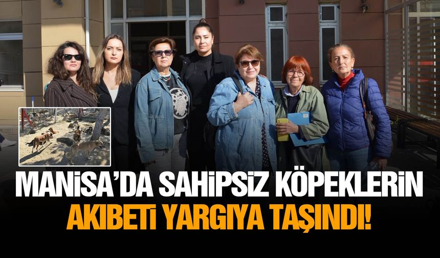 Manisa’da sahipsiz köpeklerin akıbeti yargıya taşındı!