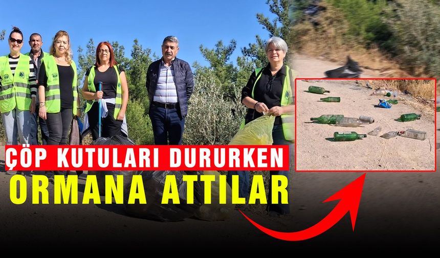 Manisa'da çöp kutuları dururken ormana attılar!