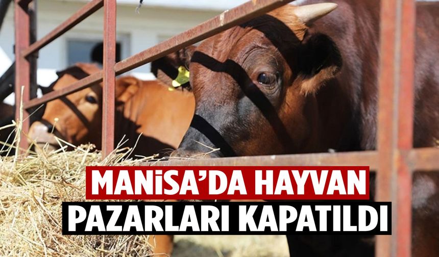 Manisa’da hayvan pazarları kapatıldı!