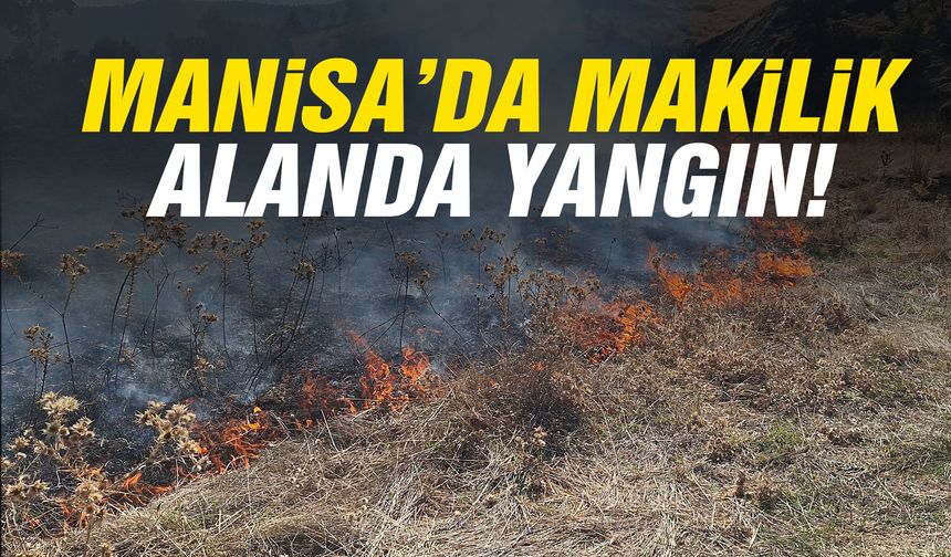 Manisa’da makilik alanda yangın paniği!