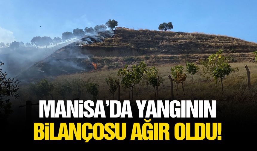 Manisa’da yangının bilançosu ağır oldu!