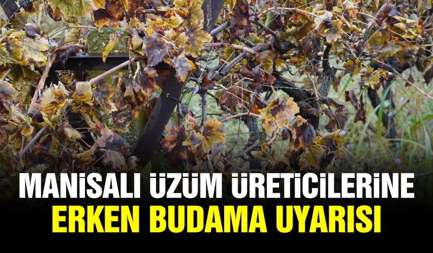 Manisalı üzüm üreticilerine erken budama uyarısı