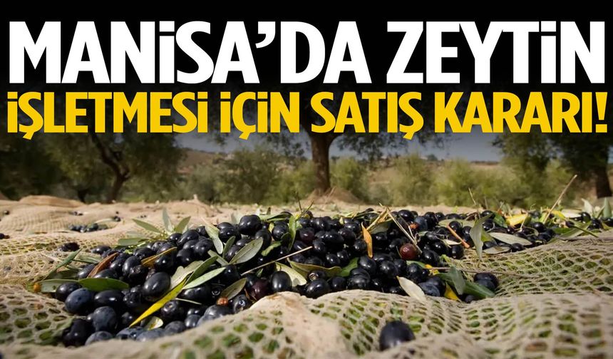 Manisa’da zeytin işletmesi için satış kararı!