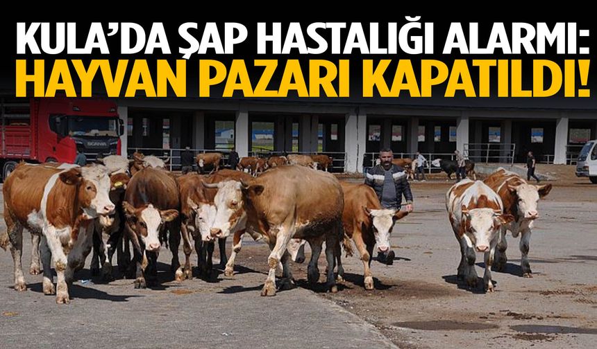 Kula’da şap hastalığı alarmı: Hayvan pazarı kapatıldı!
