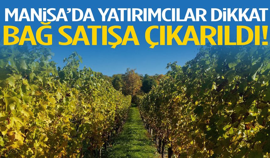 Manisa’da mahkemeden satılık bağ!