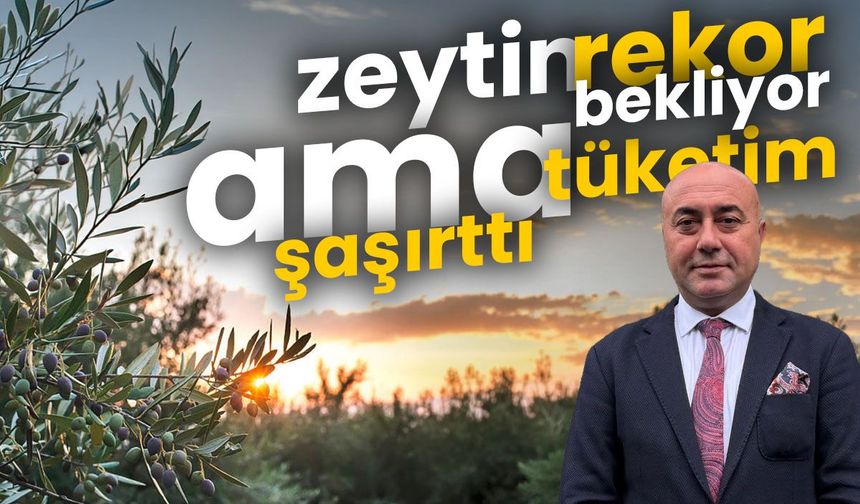 Zeytin rekora koşuyor ama kişi başı zeytinyağı tüketimi şaşırttı!