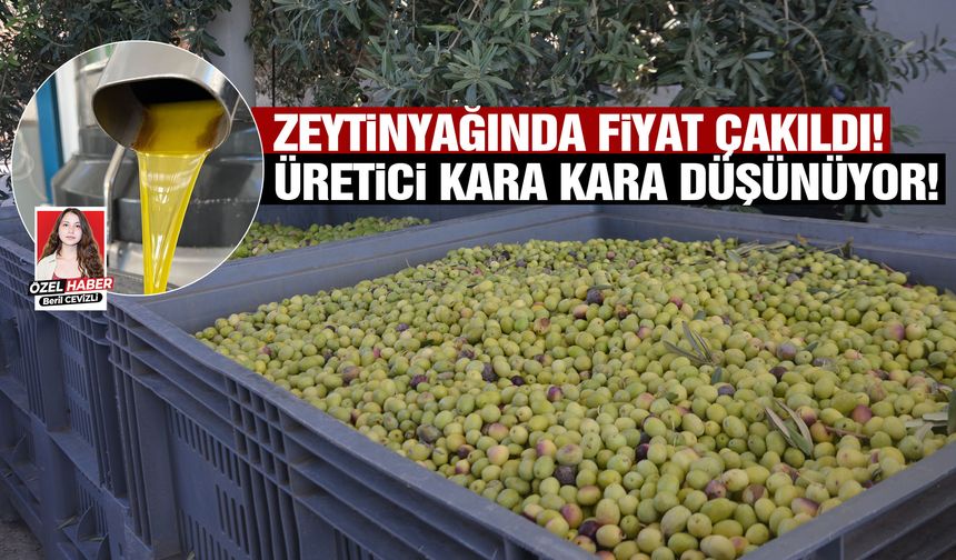 Zeytinyağında bu yıl fiyat düştü! Üretici kara kara düşünüyor...