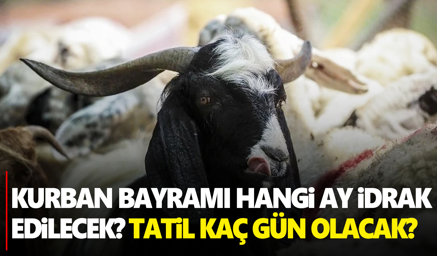 Kurban Bayramı Ne Zaman? Bayram Tatili Kaç Gün? - Manisa Kulis Haber ...