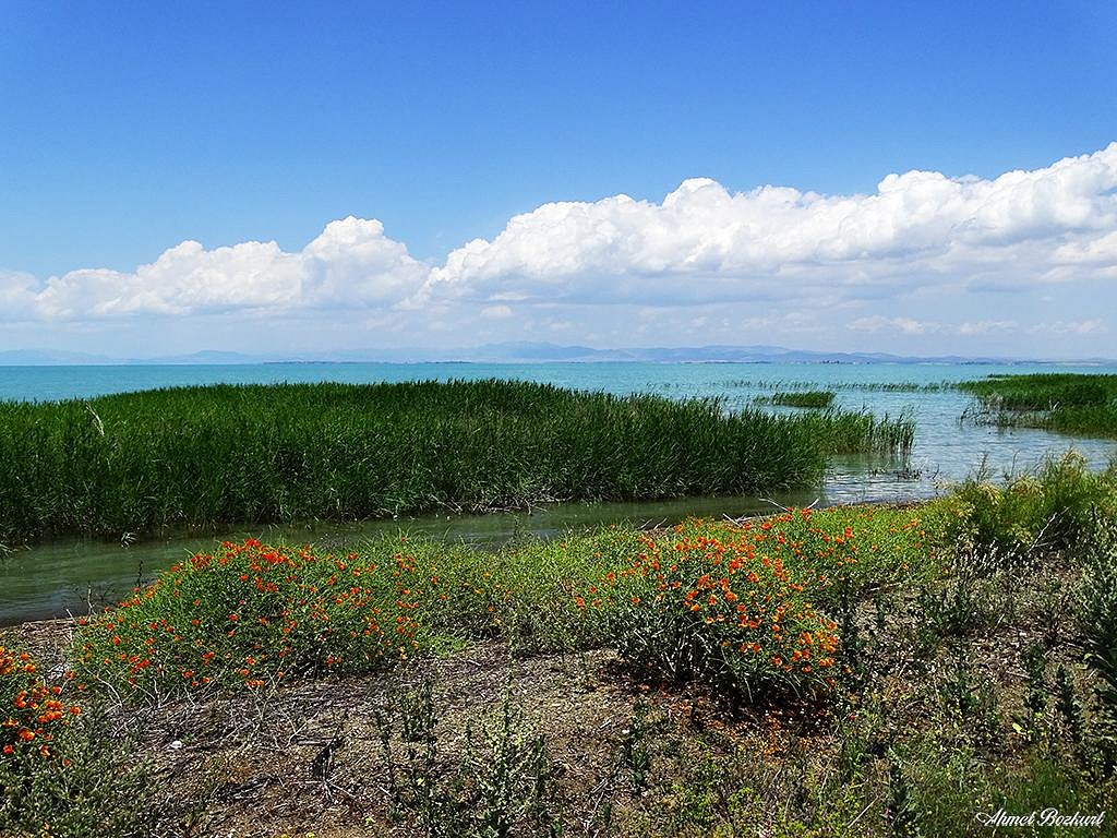 BEYŞEHİR GÖLÜ MİLLİ PARKI