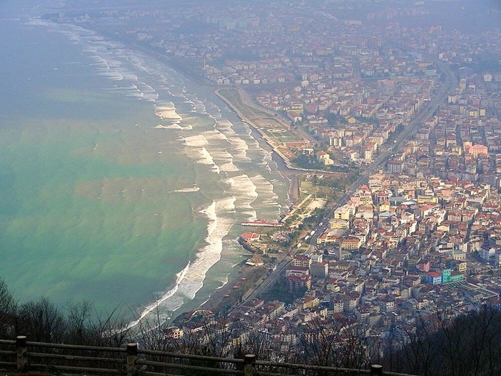 ordu