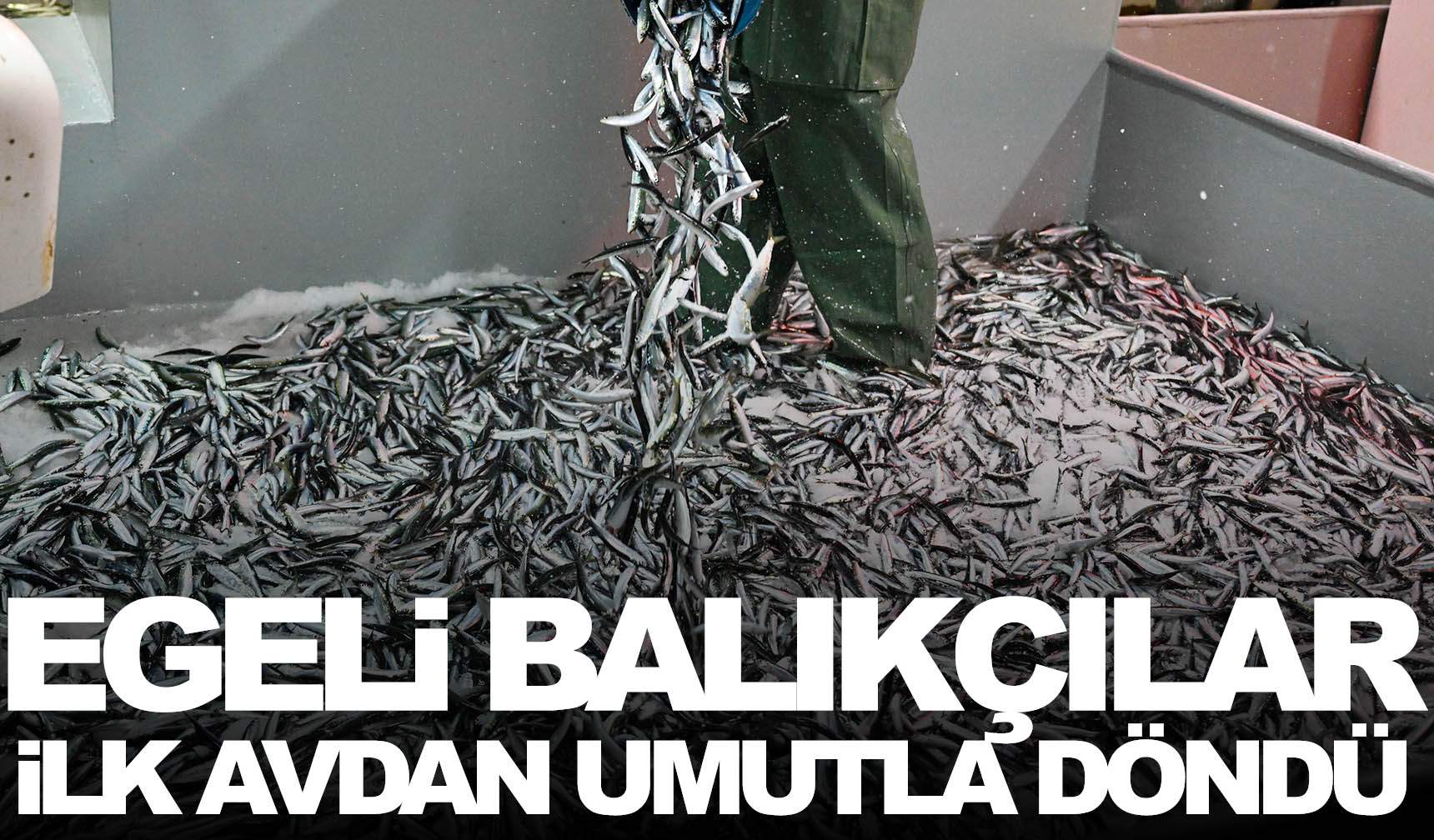 Egeli balıkçılar ilk avdan umutla döndü