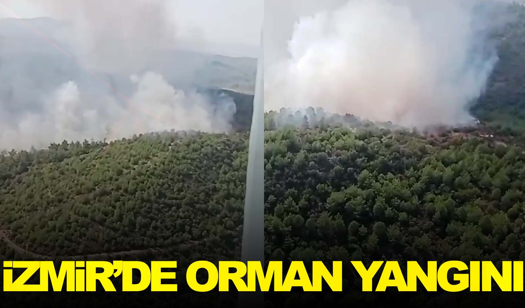 İzmirdeki Orman Yangınına Havadan Ve Karadan Müdahale Manisa Kulis Haber Manisa Haberleri
