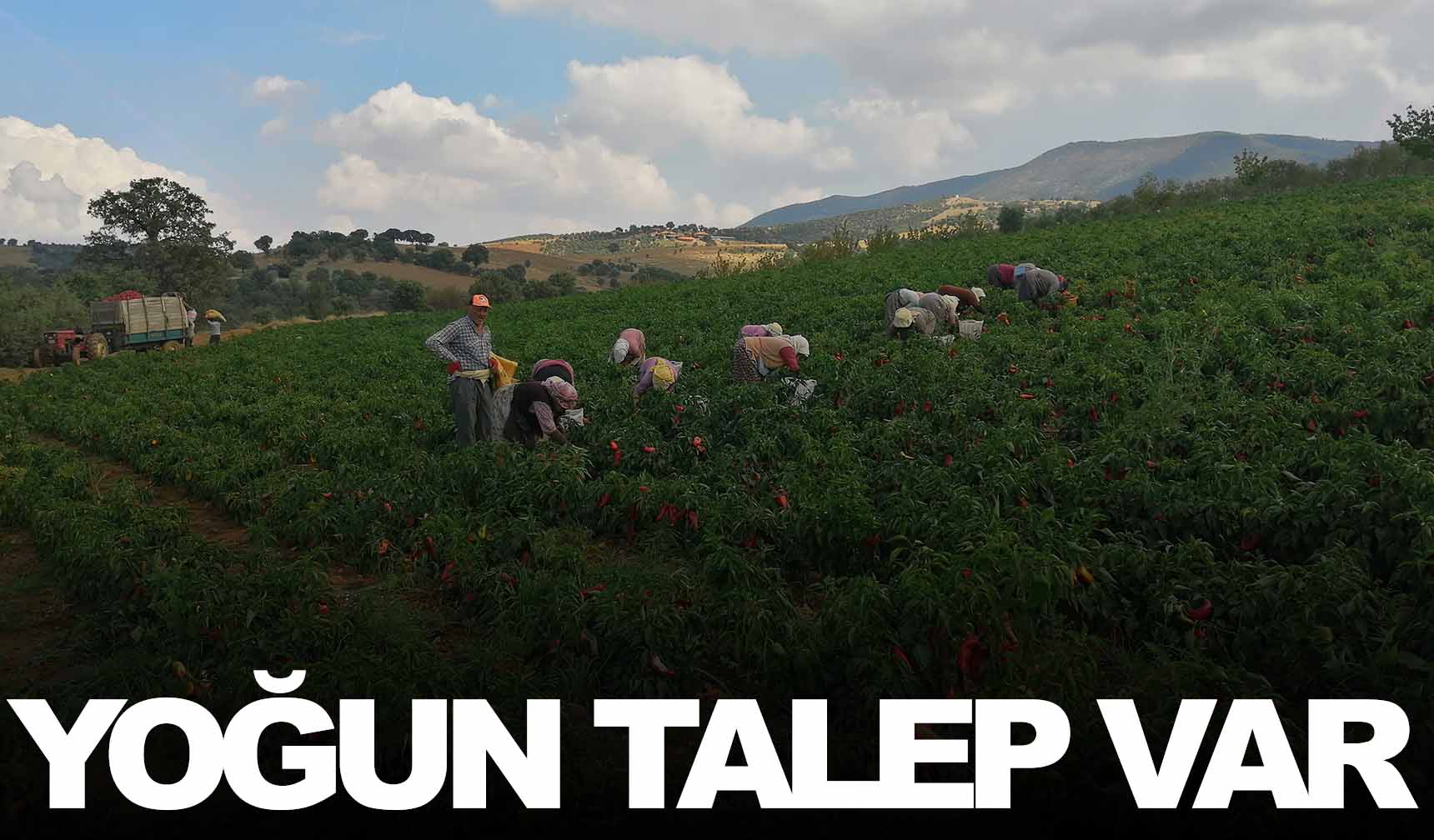 Manisa’nın o ilçesinde üretimine başlandı!