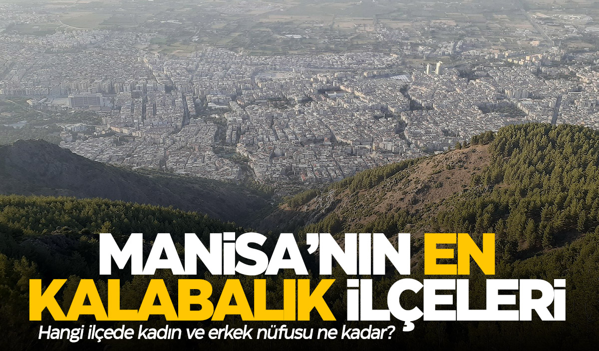 Manisa'nın en kalabalık ilçeleri ve özellikleri