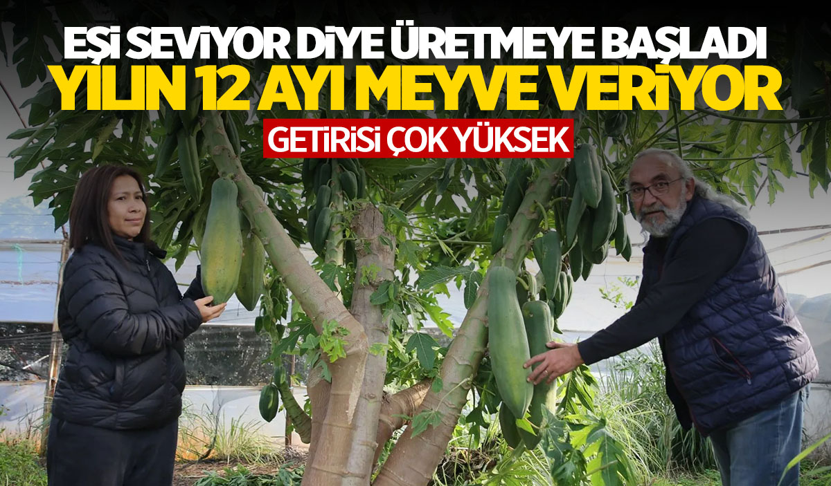 Eşi için üretti... Şimdi 3 ülkeye satıyor! Her ay meyve veriyor!