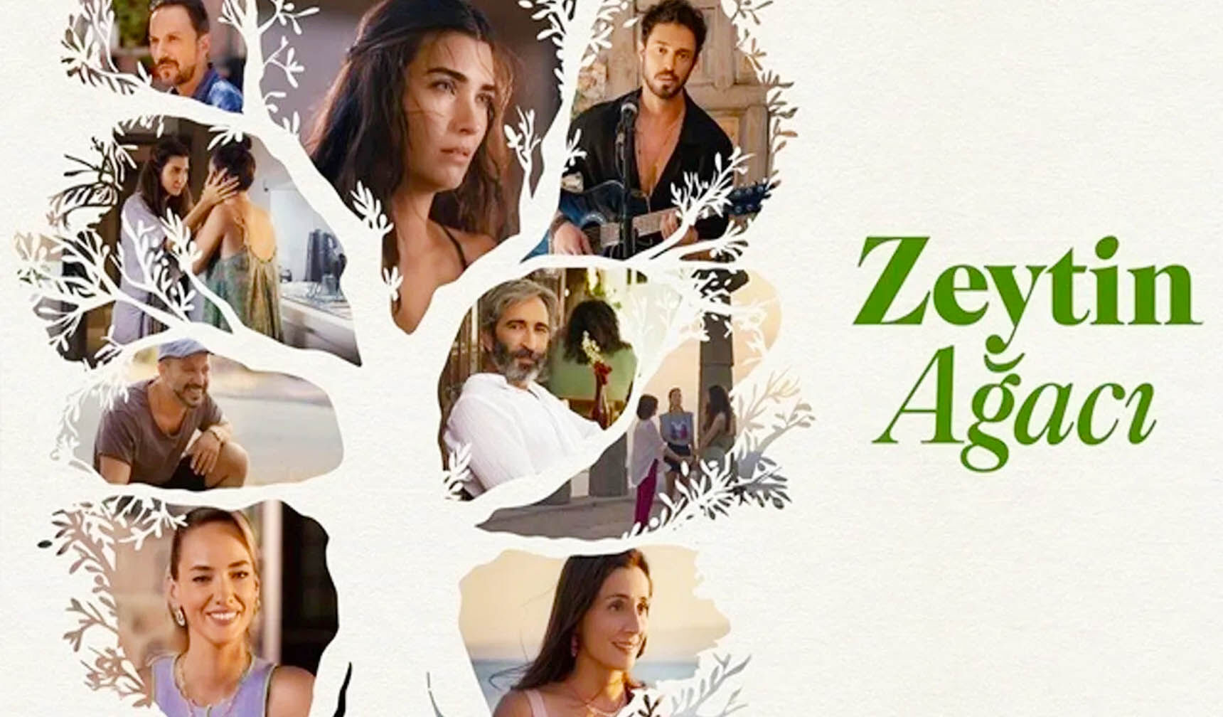 Sevilen dizi Zeytin Ağacı’nın ikinci sezonu geliyor