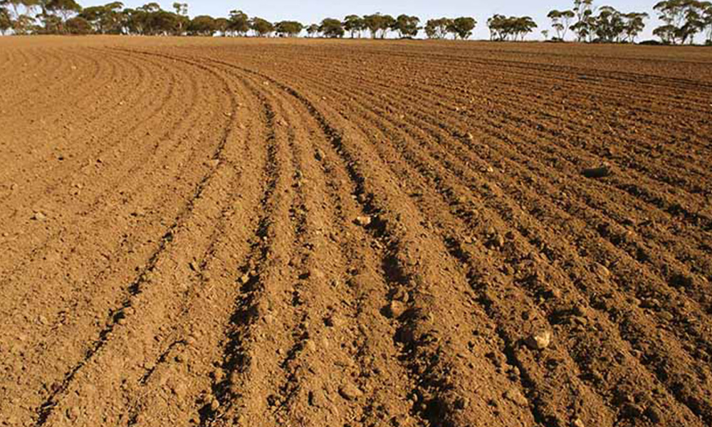 Kurak Topraklarin Imdadina Nadas Yetisiyor1