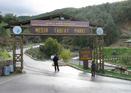 Mesirtabiatparkı