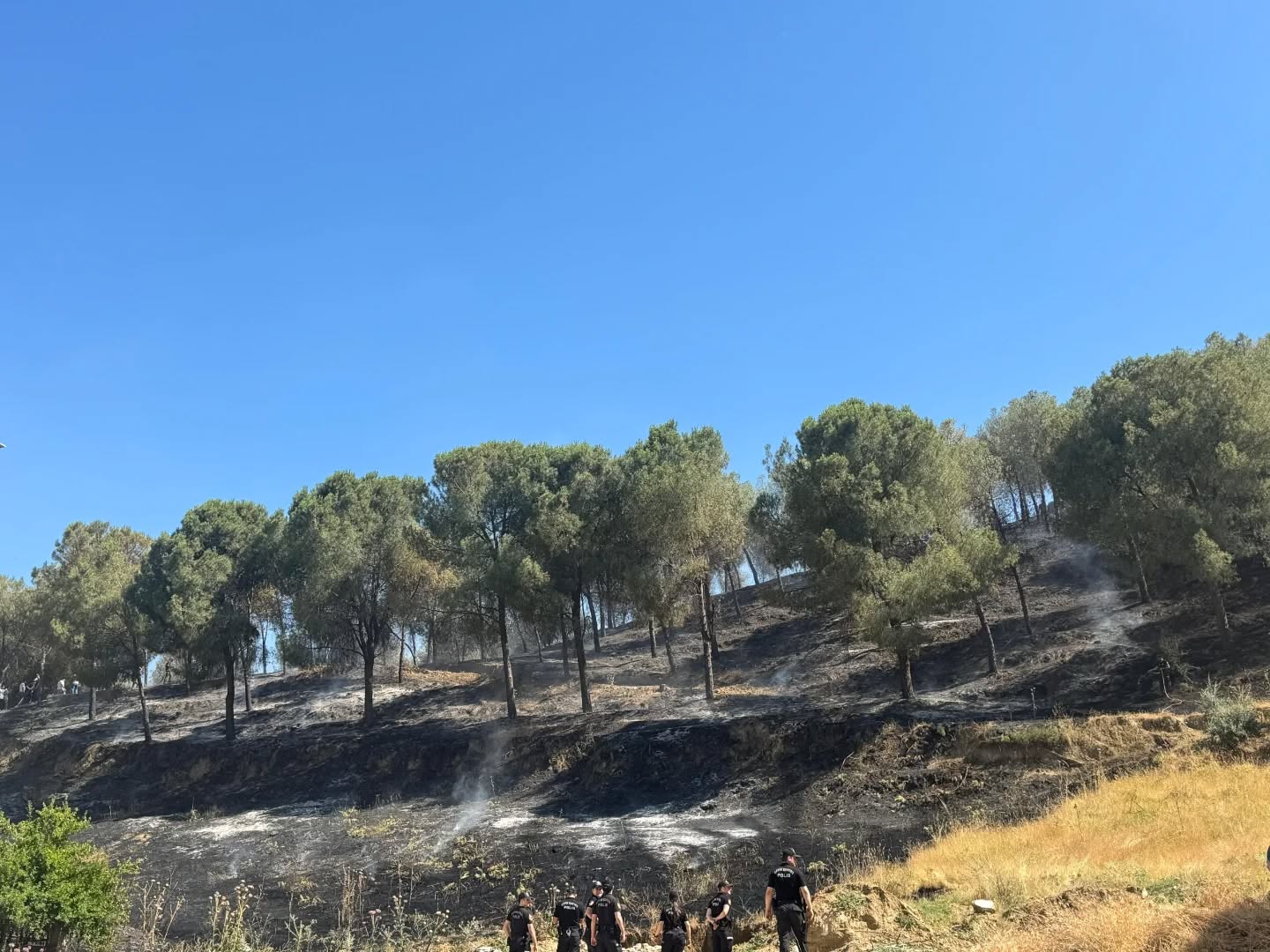 503642360 18377355259192704 6018821027269853088 N