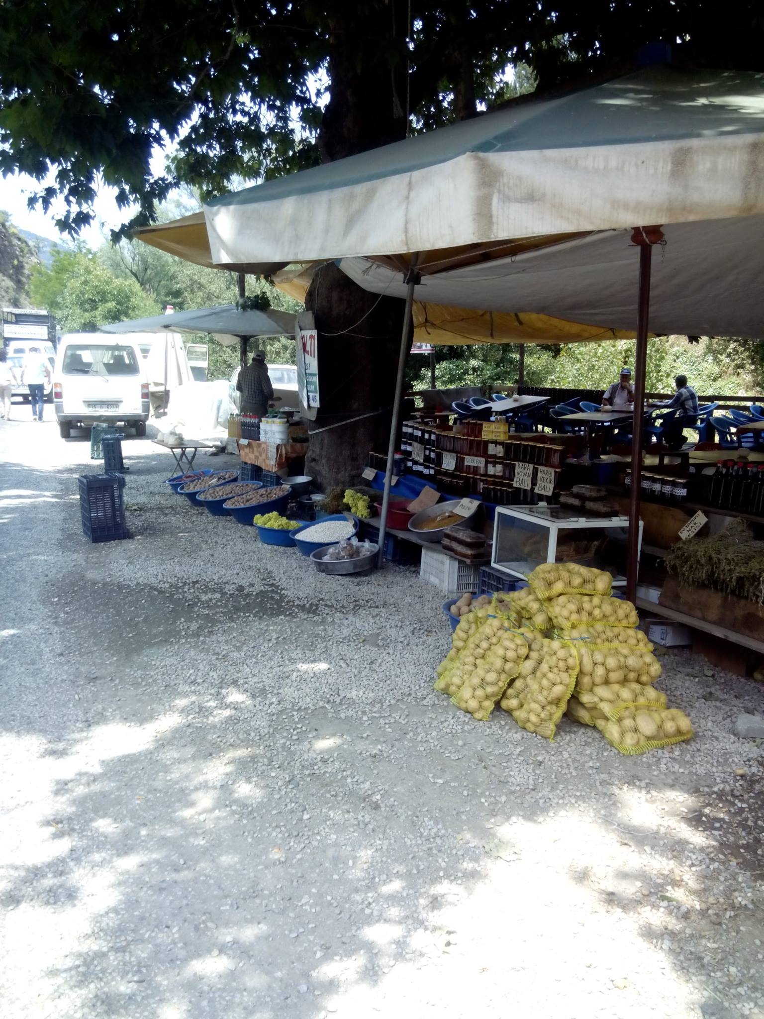 505365891 9894661667328626 1771074439386995064 N