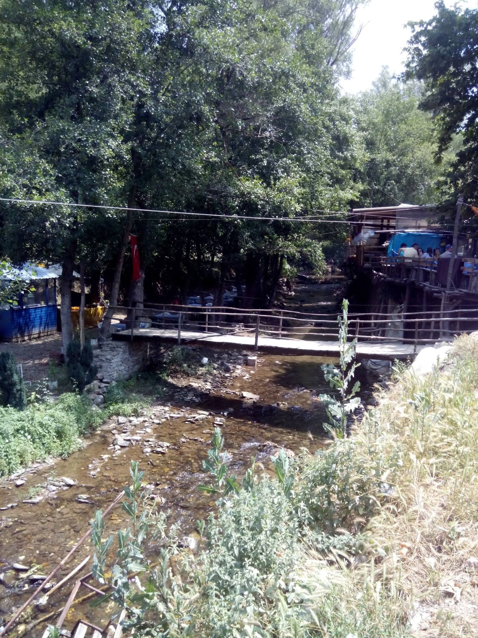 505372612 9894661677328625 1056476425025196361 N