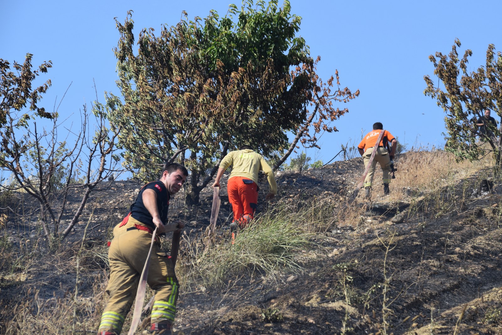 A A 20250622 38352247 38352245 T U R G U T L U D A T A R I M A R A Z I S I N D E C I K A N Y A N G I N S O N D U R U L D U 1600X1067