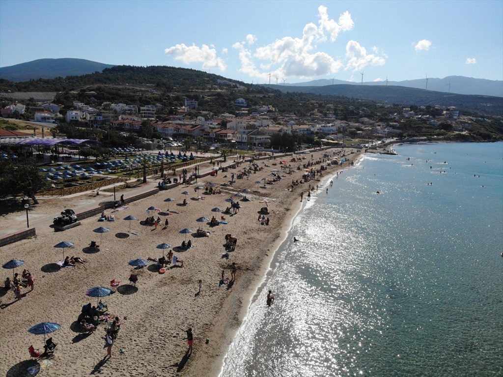 Ardıç