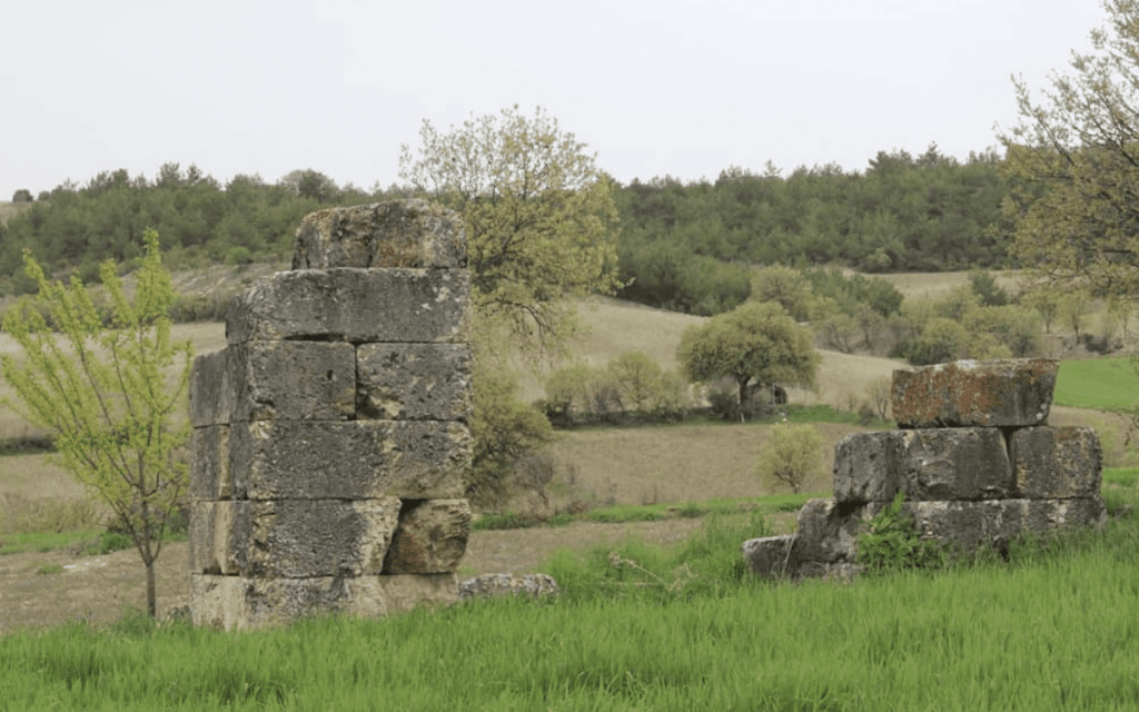 Sidas (1)-1