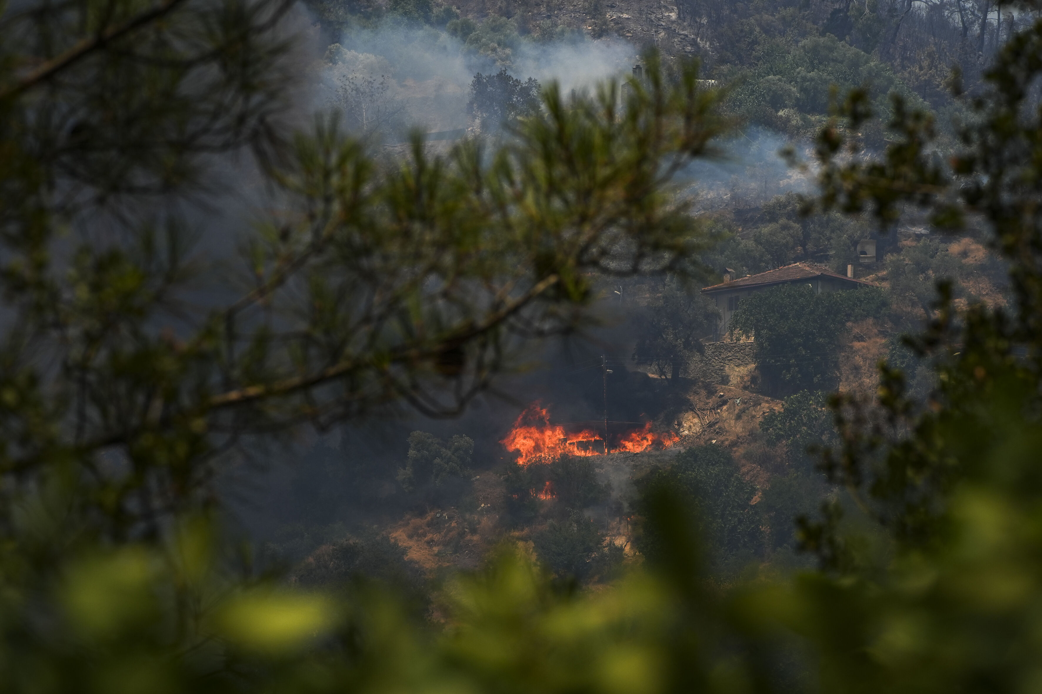 A A 20250703 38458545 38458538 I Z M I R I N O D E M I S I L C E S I N D E K I O R M A N Y A N G I N I N A M U D A H A L E S U R U Y O R