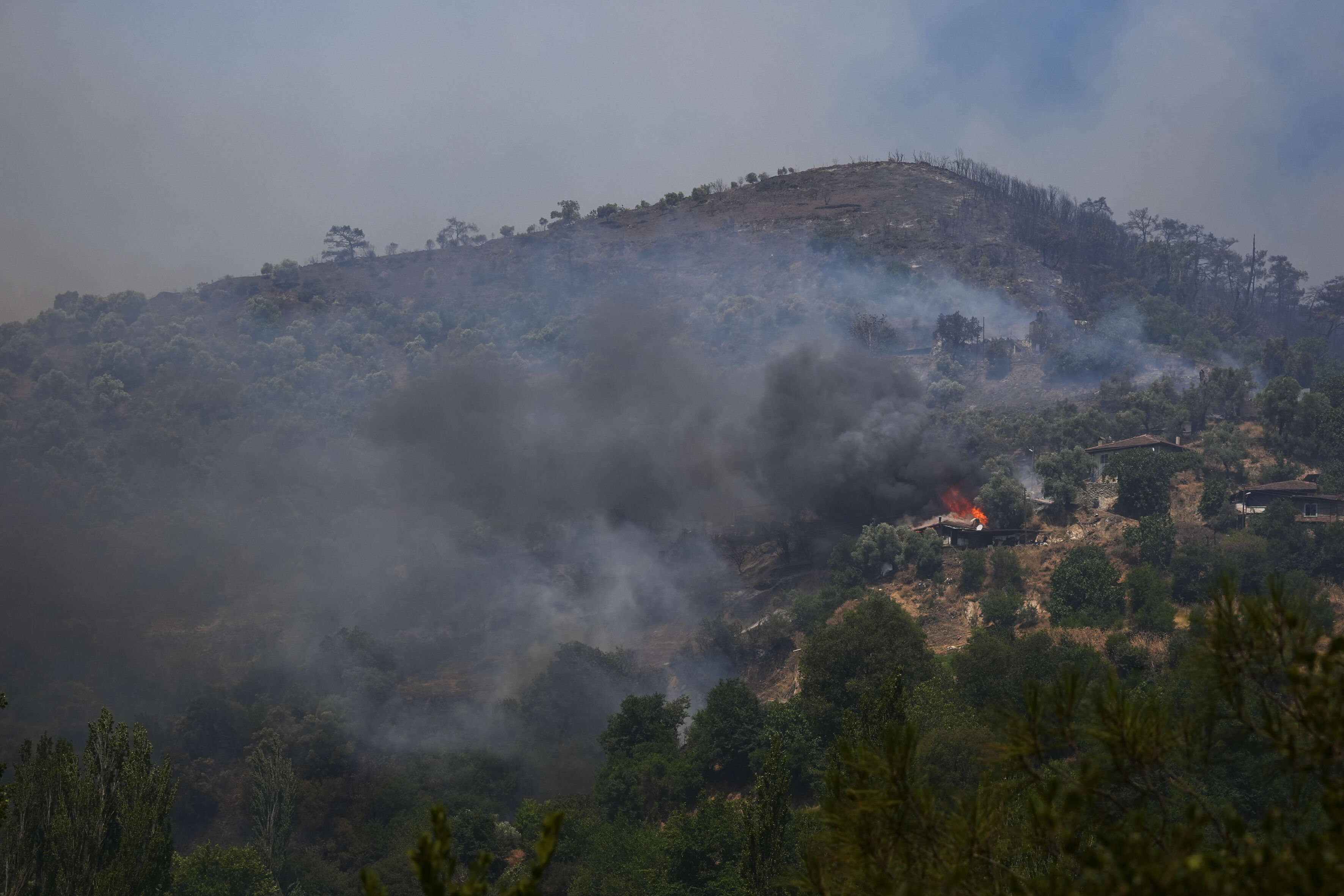 A A 20250703 38458545 38458539 I Z M I R I N O D E M I S I L C E S I N D E K I O R M A N Y A N G I N I N A M U D A H A L E S U R U Y O R