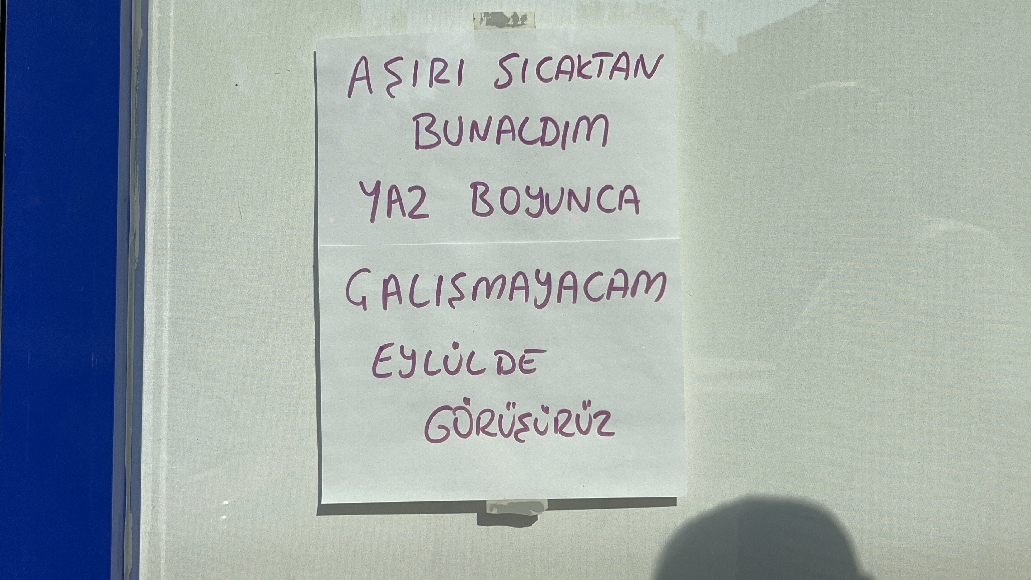 A W503929 01