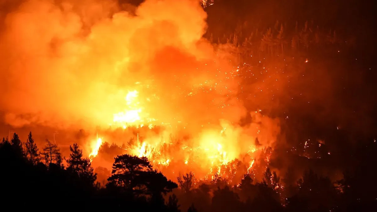 Any Conv.com 687B3E4F5536D994 W1200Xh675