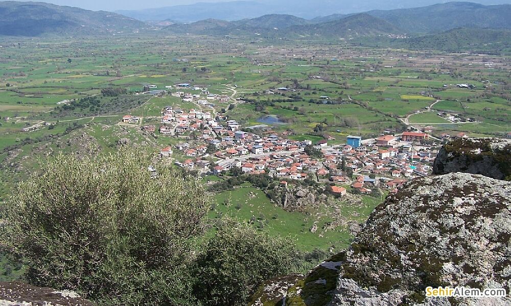 Aydın Karpuzlu 8204