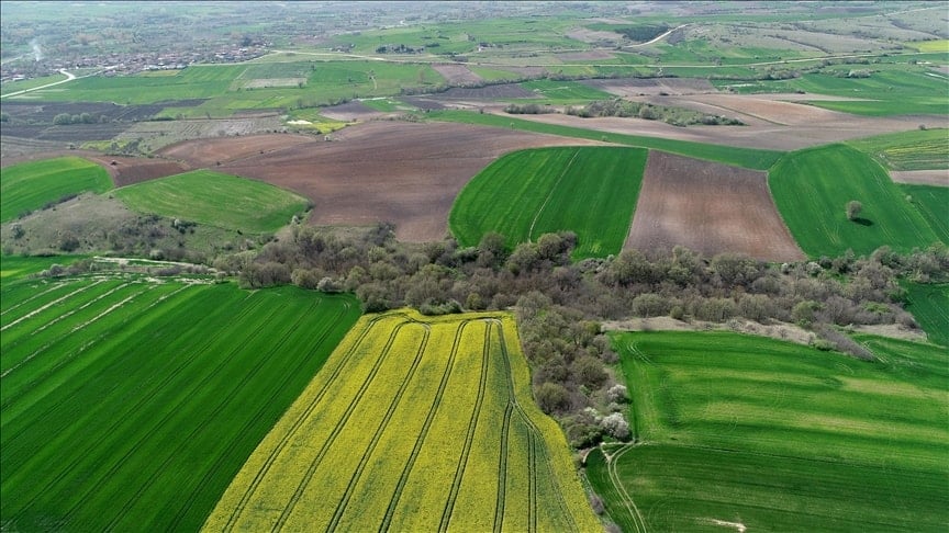 Tapuughşl