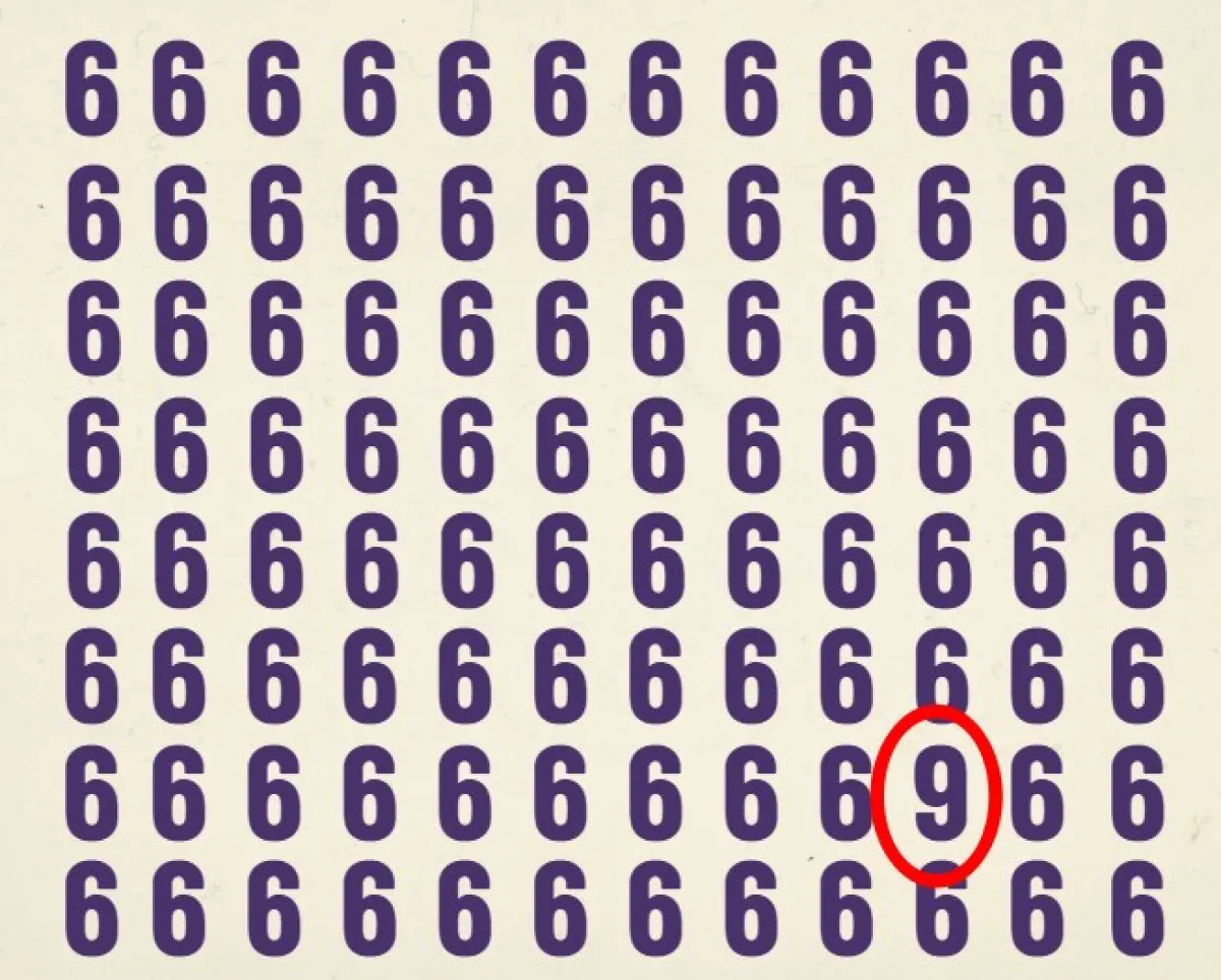 68B2C2695A0E4702 W1200Xh964